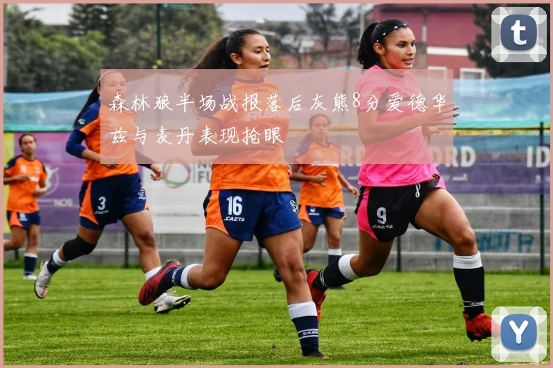 森林狼半场战报落后灰熊8分爱德华兹与麦丹表现抢眼